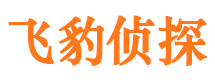 东港区侦探公司